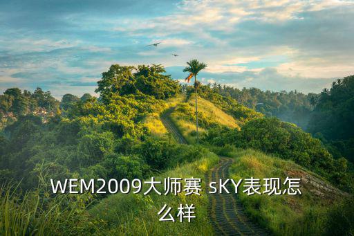 WEM2009大师赛 sKY表现怎么样