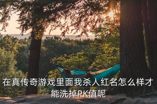 在真传奇游戏里面我杀人红名怎么样才能洗掉PK值呢