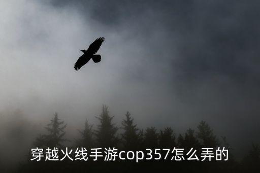 穿越火线手游cop357怎么弄的