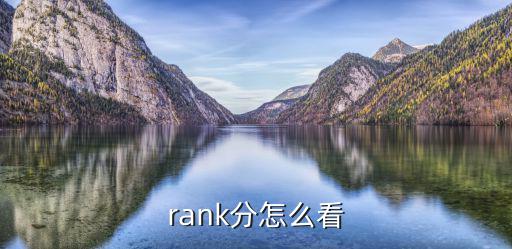 rank分怎么看