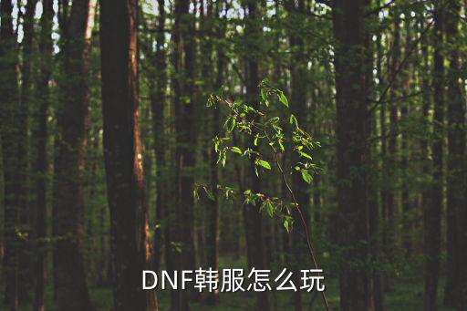 DNF韩服怎么玩