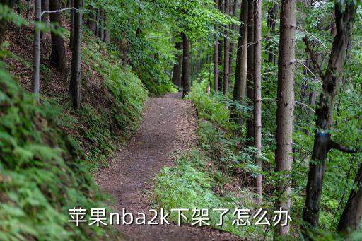 苹果nba2k下架了怎么办