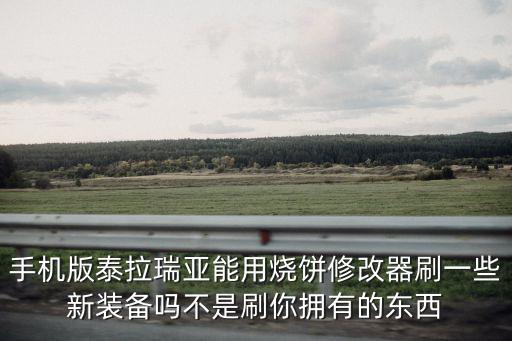 手机版泰拉瑞亚能用烧饼修改器刷一些新装备吗不是刷你拥有的东西