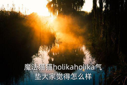 魔法猫猫holikaholika气垫大家觉得怎么样