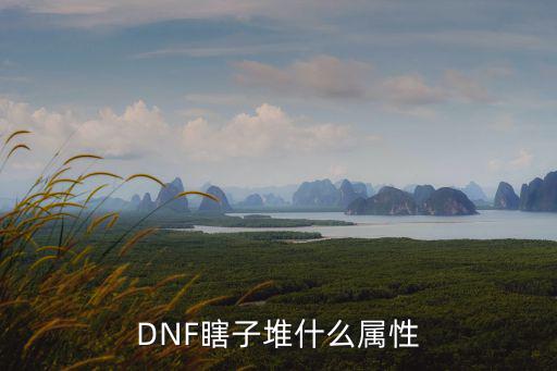 DNF瞎子堆什么属性