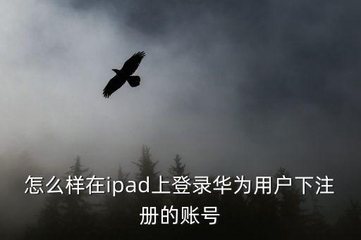 怎么样在ipad上登录华为用户下注册的账号