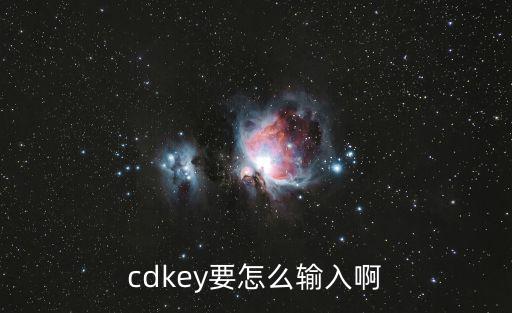 cdkey要怎么输入啊