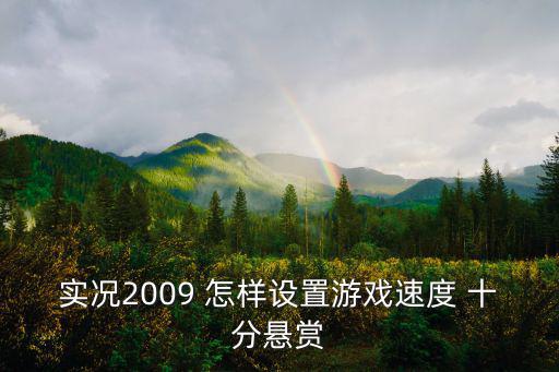 实况2009 怎样设置游戏速度 十分悬赏