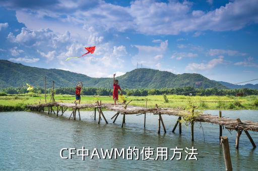 CF中AWM的使用方法