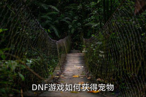 dnf手游时钟宠物怎么获得，DNF游戏如何获得宠物