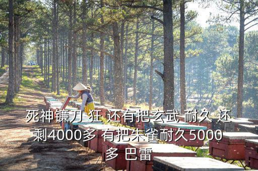 死神镰刀 狂 还有把玄武 耐久 还剩4000多 有把朱雀耐久5000多 巴雷