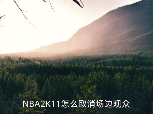 NBA2K11怎么取消场边观众