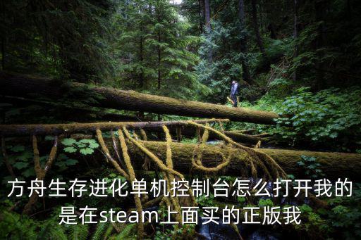 方舟生存进化单机控制台怎么打开我的是在steam上面买的正版我