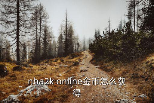 nba2k online金币怎么获得