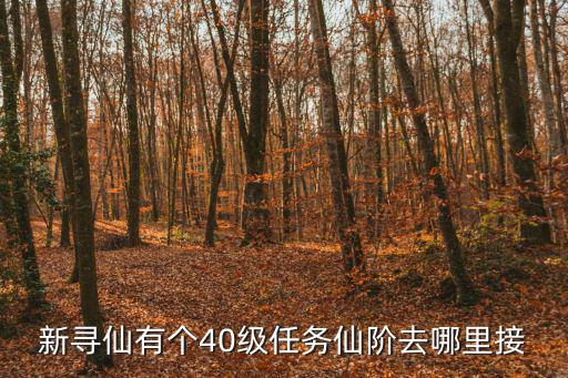 新寻仙有个40级任务仙阶去哪里接