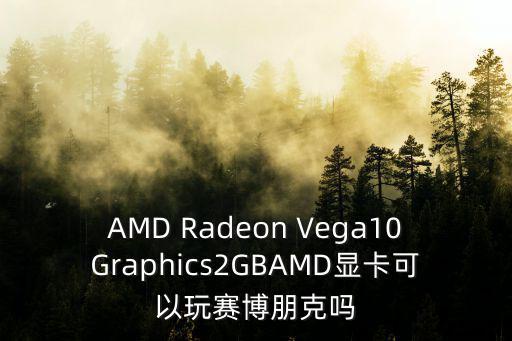 AMD Radeon Vega10Graphics2GBAMD显卡可以玩赛博朋克吗