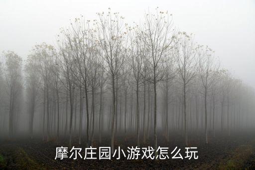 摩尔庄园手游版怎么换工具，摩尔庄园小游戏怎样买家具