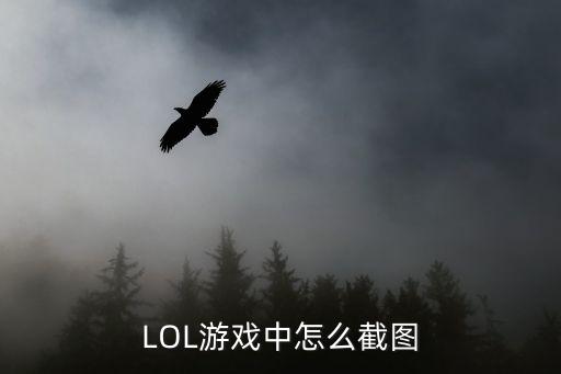 lol手游怎么放眼换扫描，LOL游戏中怎么截图