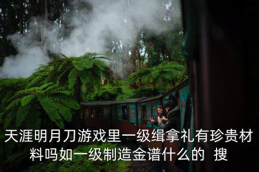 天涯明月刀游戏里一级缉拿礼有珍贵材料吗如一级制造金谱什么的  搜