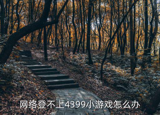 网络登不上4399小游戏怎么办