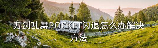 刀剑乱舞POCKET闪退怎么办解决方法