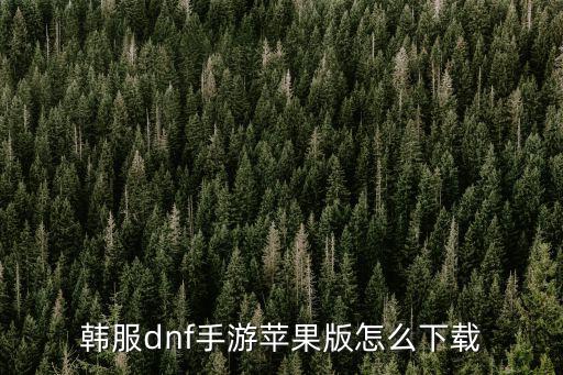 韩服dnf手游苹果版怎么下载