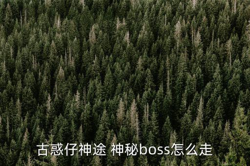 神途手游boss怎么设计，我想了解下这风云神途里的BOSS哪里出求推荐下啊现在这神