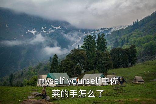 myself yourself中佐莱的手怎么了