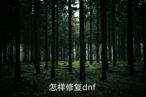 怎样修复dnf