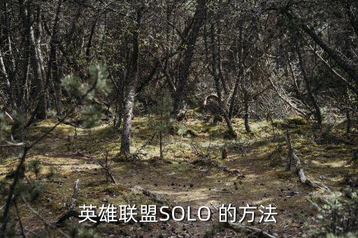 英雄联盟SOLO 的方法