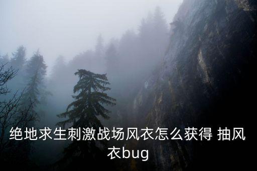 绝地求生刺激战场风衣怎么获得 抽风衣bug