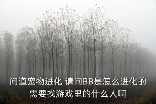 问道宠物进化 请问BB是怎么进化的需要找游戏里的什么人啊