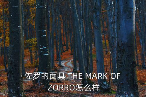 佐罗的面具 THE MARK OF ZORRO怎么样