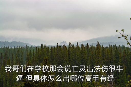 我哥们在学校那会说亡灵出法伤很牛 逼 但具体怎么出哪位高手有经