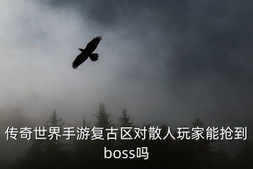 传奇世界手游复古区对散人玩家能抢到boss吗