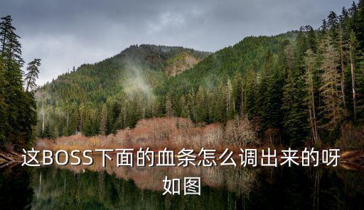 这BOSS下面的血条怎么调出来的呀如图