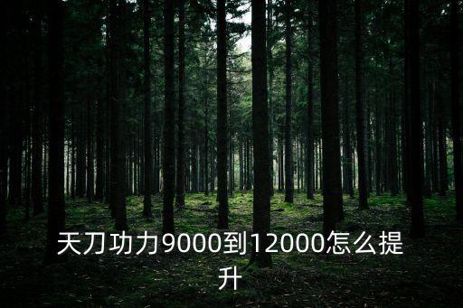 天刀功力9000到12000怎么提升