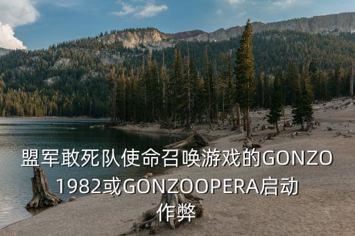 盟军敢死队使命召唤游戏的GONZO1982或GONZOOPERA启动作弊