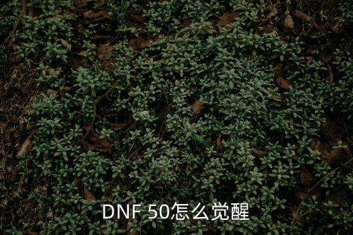 DNF 50怎么觉醒