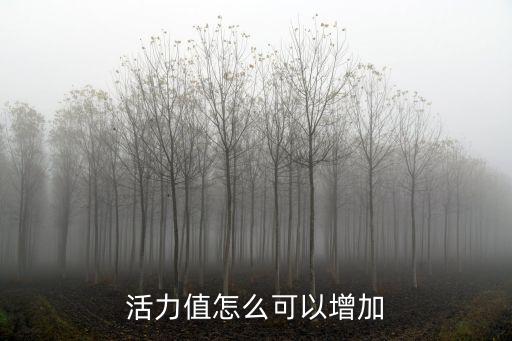 活力值怎么可以增加