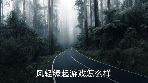 风轻缘起游戏怎么样