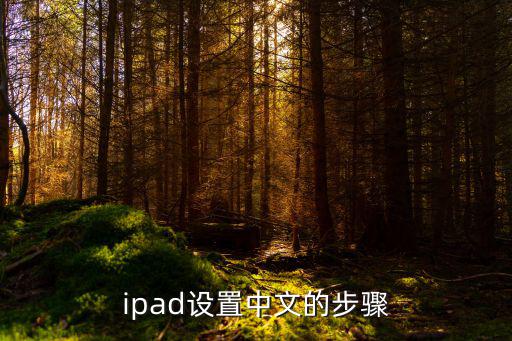 ipad设置中文的步骤