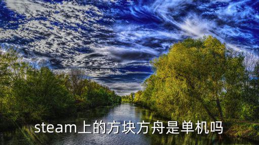 steam上的方块方舟是单机吗