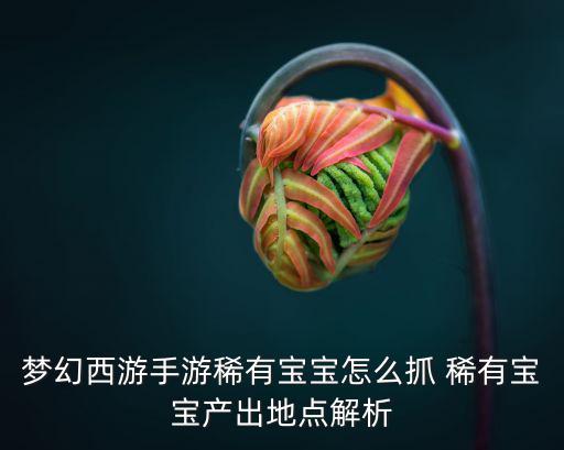 梦幻西游手游稀有宝宝怎么抓 稀有宝宝产出地点解析