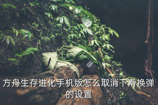 方舟生存进化手机版怎么取消下滑换弹的设置