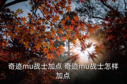 奇迹mu战士加点 奇迹mu战士怎样加点