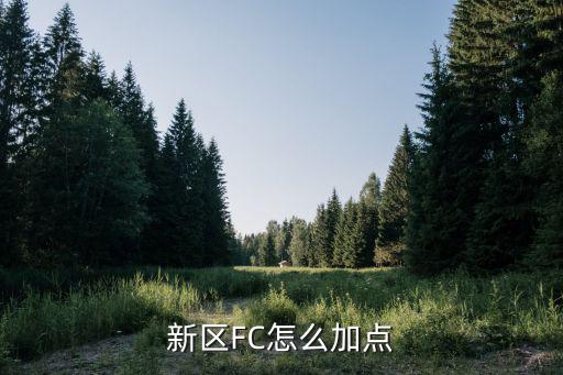 新区FC怎么加点