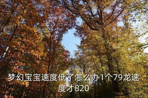 梦幻宝宝速度低了怎么办1个79龙速度才820