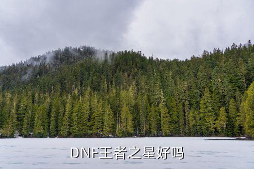 DNF王者之星好吗