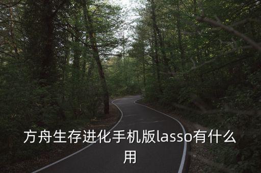 方舟生存进化手机版lasso有什么用